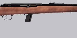 SAVAGE ARMS 64 SEMI-AUTO 22LR BL/WD 10+1