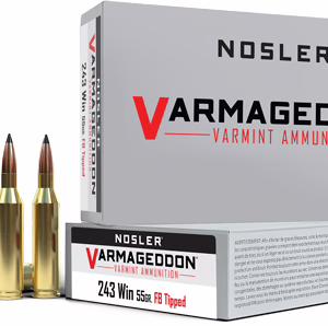 NOSLER VARMAGEDDON 243 WIN – 55GR FBT 20RD 10BX/CS