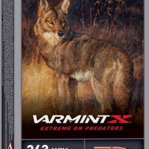 WINCHESTER VARMINT-XP 243 WIN – 65GR EXTREME PT 20RD 10BX/CS