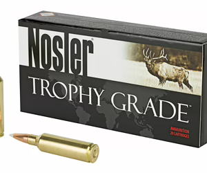 NOSLER 270WSM 140GR AB 20/200