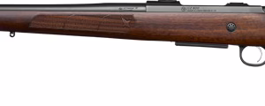 CZ 600 ST2 AMERICAN 243 WIN – 20″ BLUED WALNUT STOCK
