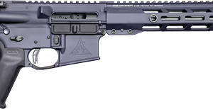 RISE WATCHMAN XR AR-15 RIFLE – 22 ARC 18″ SNIPER GREY 10RD